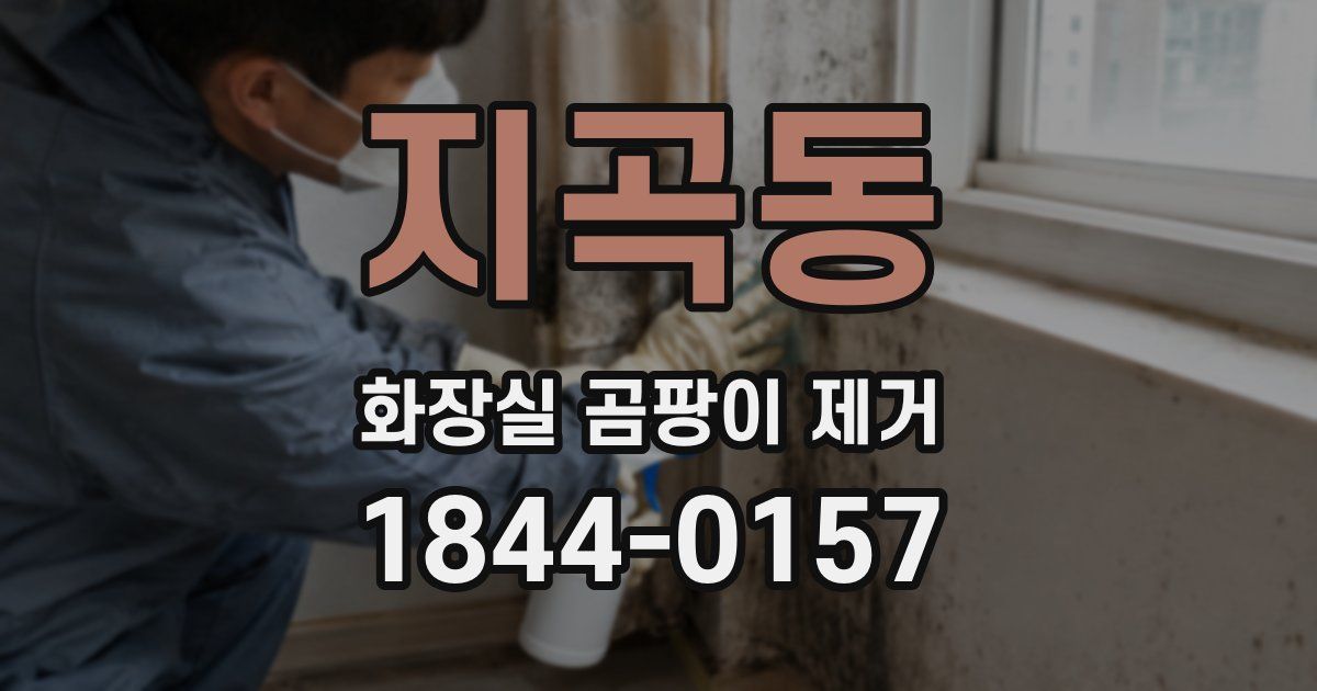 지곡동 화장실 곰팡이 제거
