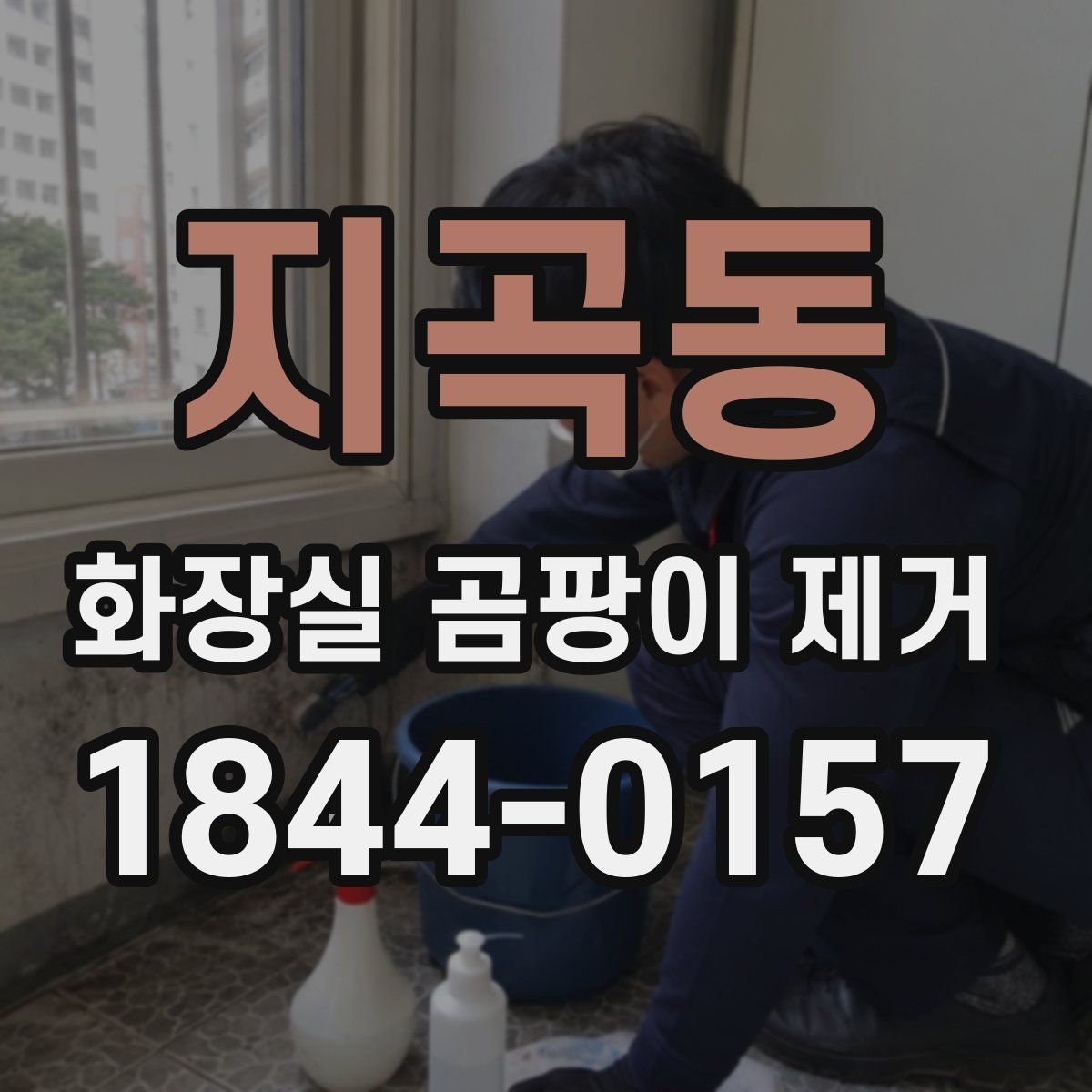 지곡동 화장실 곰팡이 제거