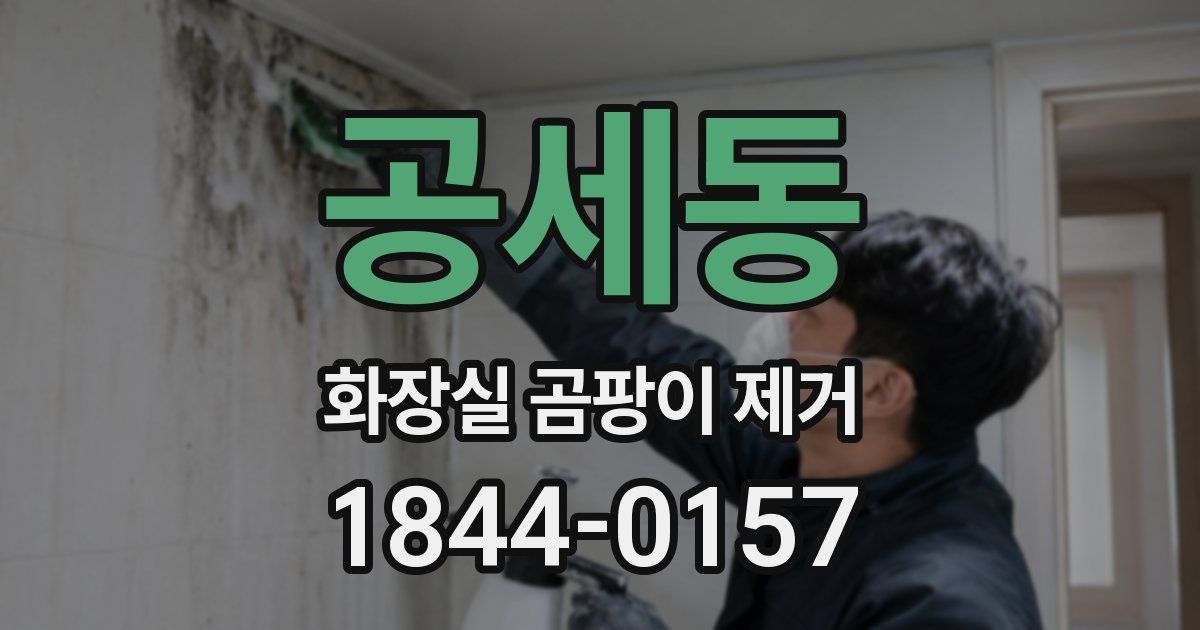 공세동 화장실 곰팡이 제거