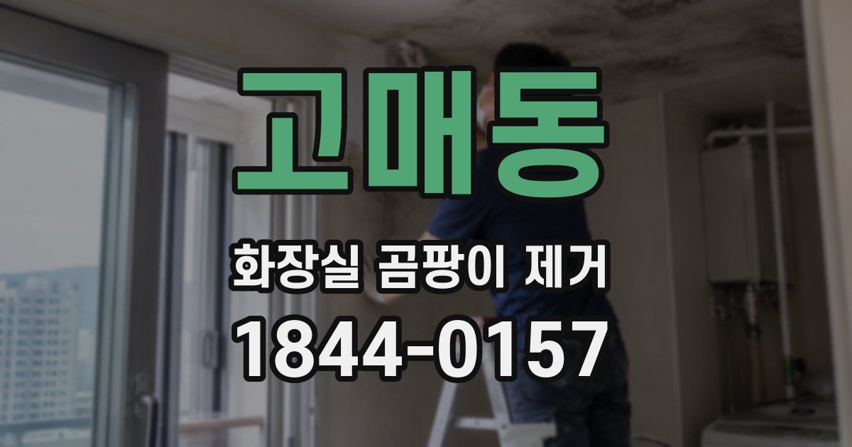 고매동 화장실 곰팡이 제거