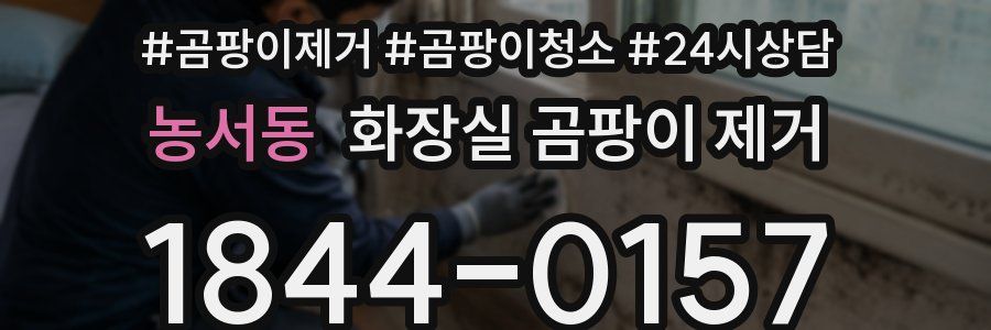농서동 화장실 곰팡이 제거