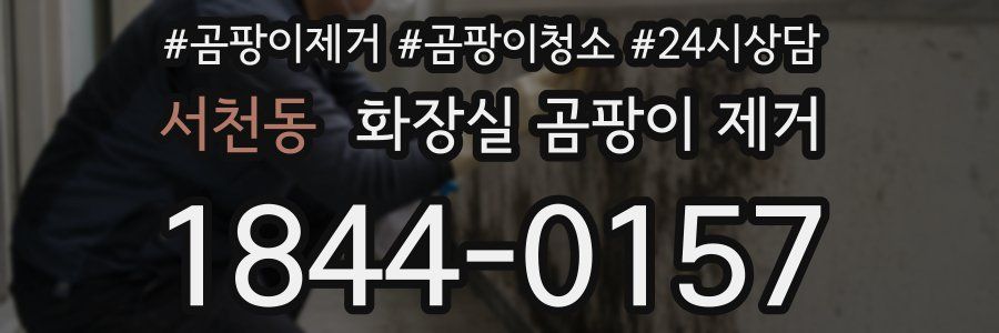 서천동 화장실 곰팡이 제거