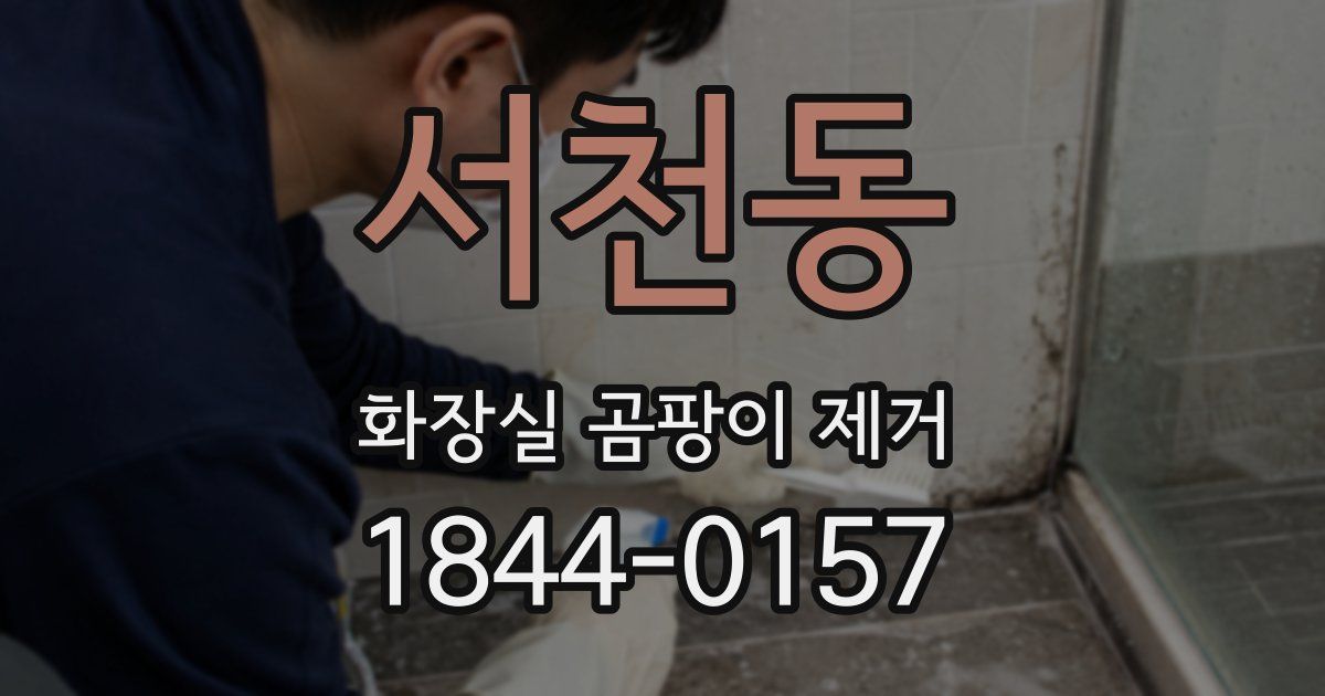 서천동 화장실 곰팡이 제거