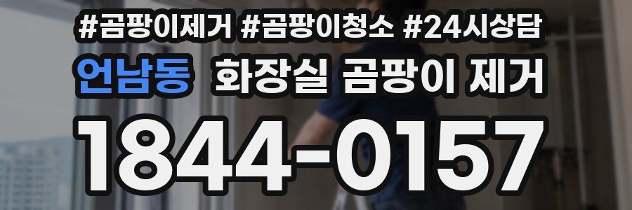 언남동 화장실 곰팡이 제거