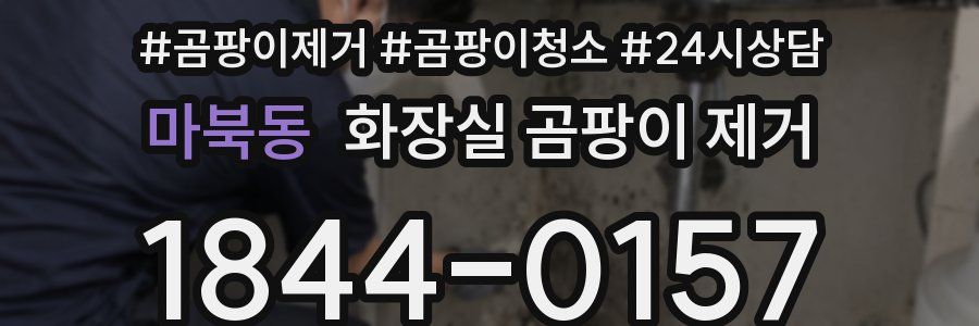 마북동 화장실 곰팡이 제거