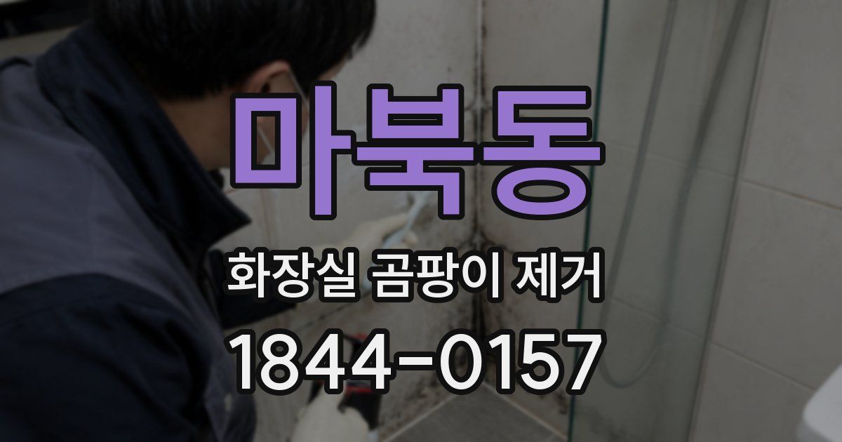 마북동 화장실 곰팡이 제거