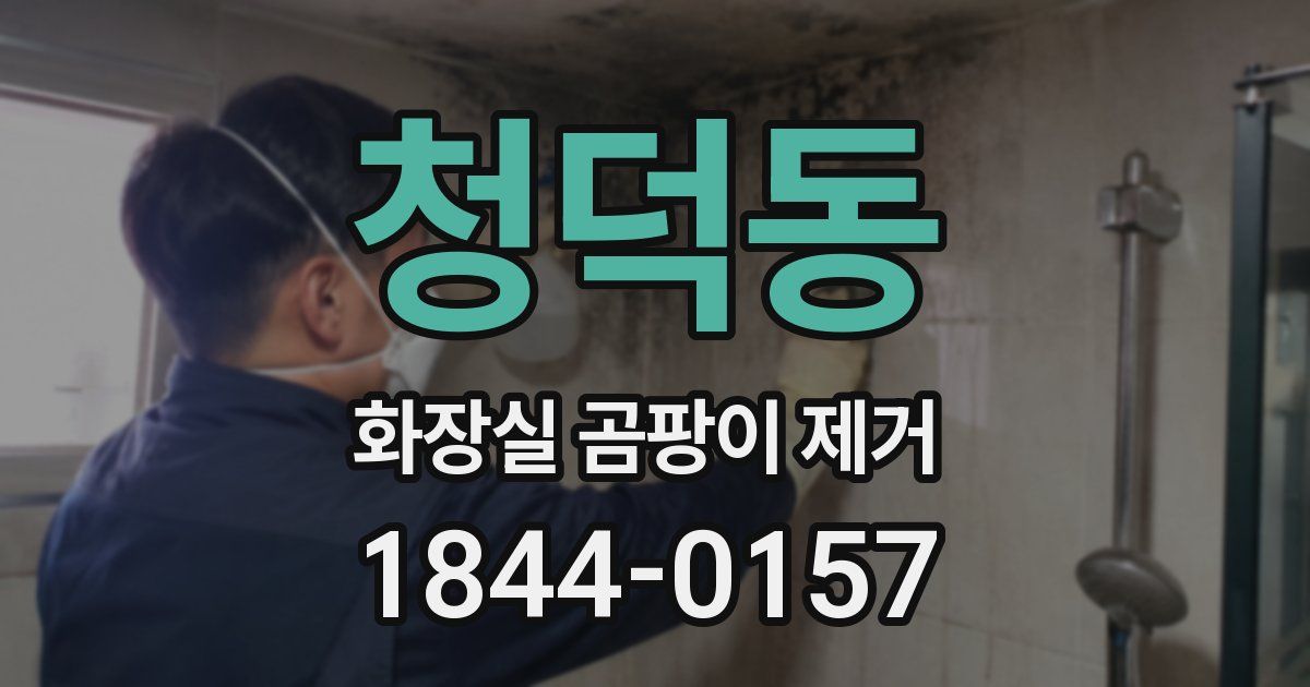 청덕동 화장실 곰팡이 제거