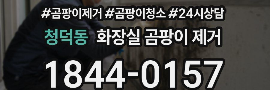 청덕동 화장실 곰팡이 제거