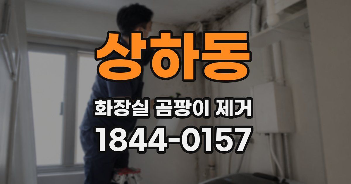 상하동 화장실 곰팡이 제거