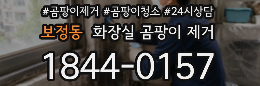 보정동 화장실 곰팡이 제거