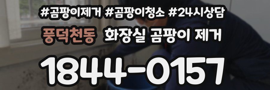 풍덕천동 화장실 곰팡이 제거
