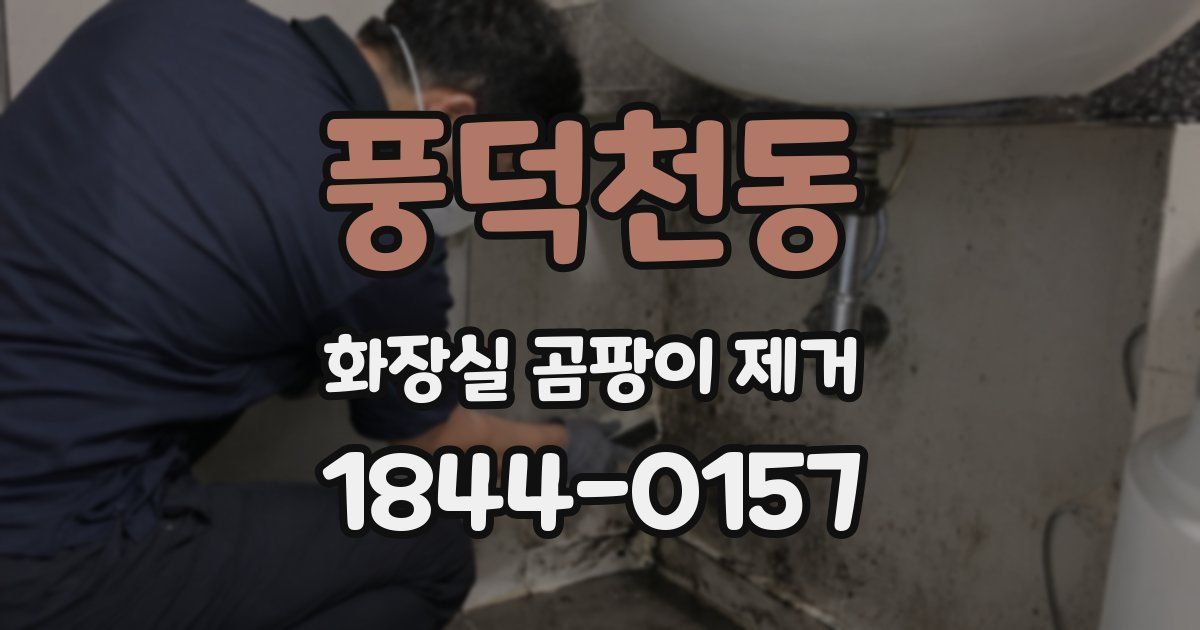풍덕천동 화장실 곰팡이 제거