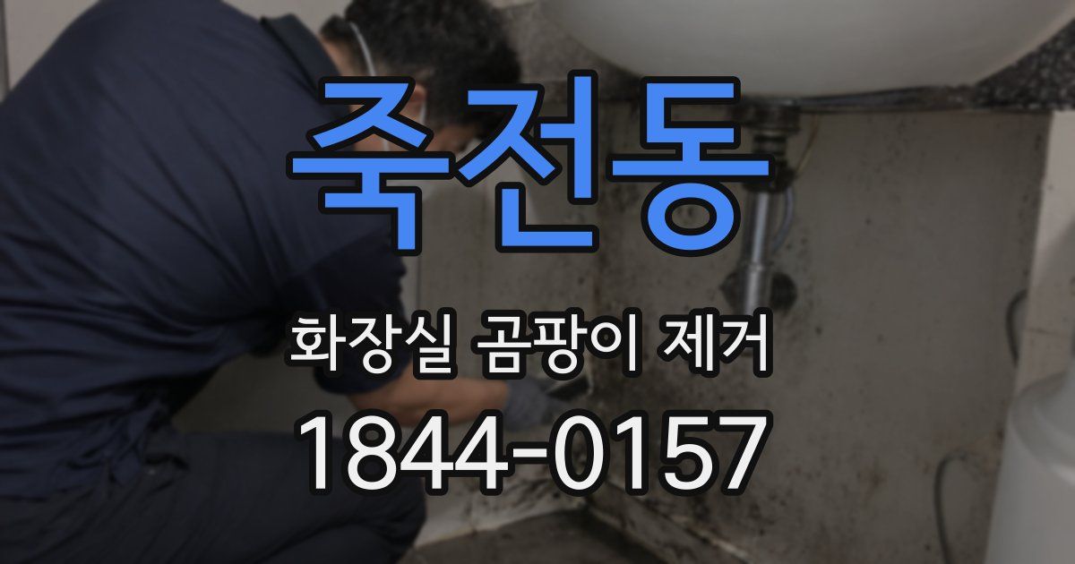 죽전동 화장실 곰팡이 제거