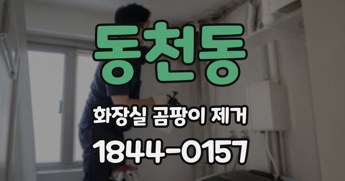 동천동 화장실 곰팡이 제거