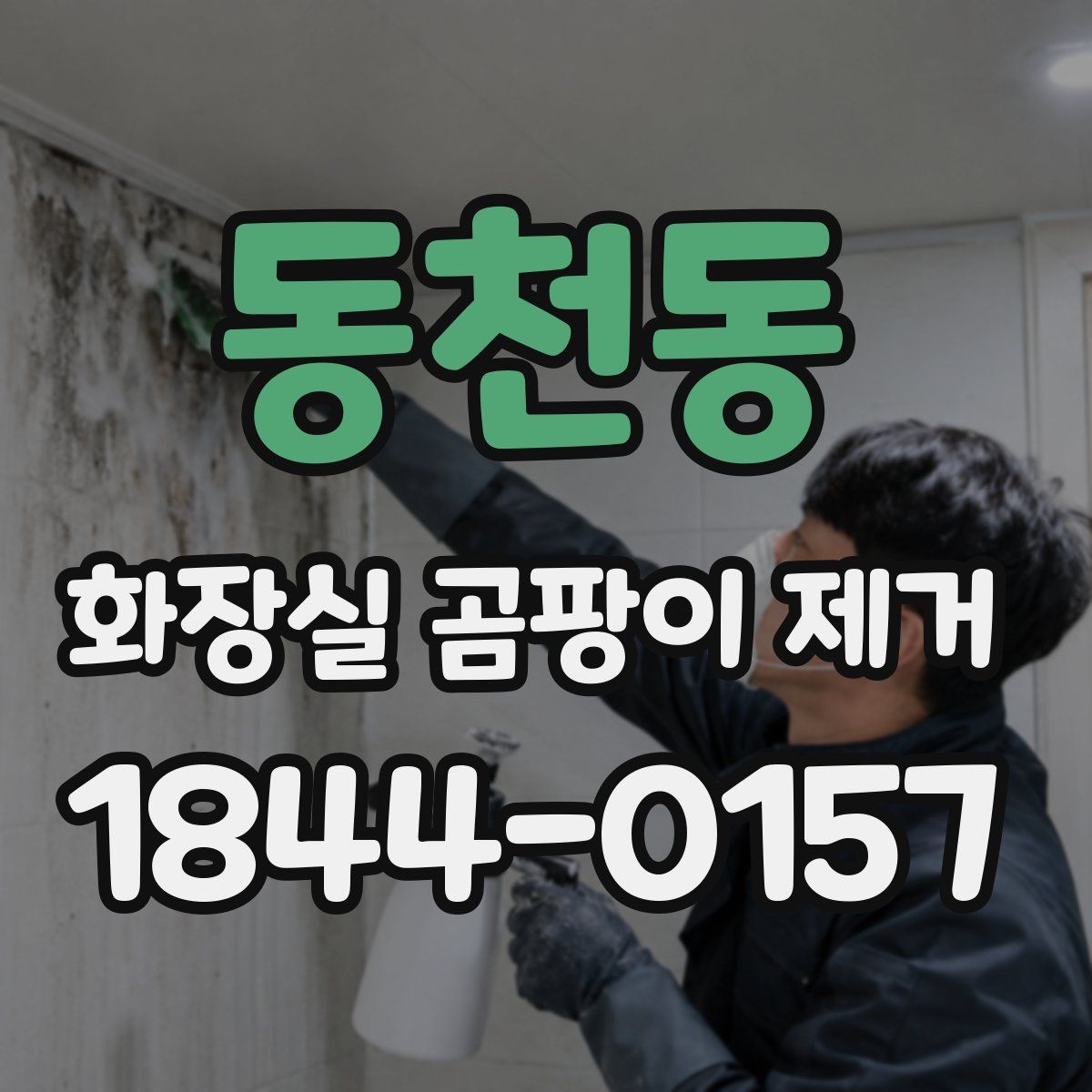 동천동 화장실 곰팡이 제거