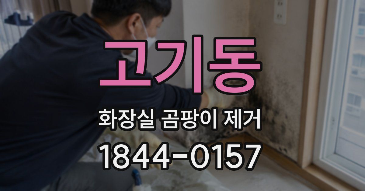 고기동 화장실 곰팡이 제거