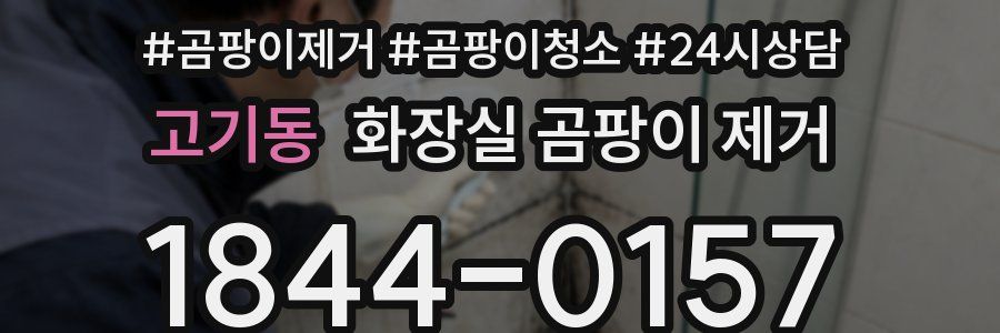 고기동 화장실 곰팡이 제거