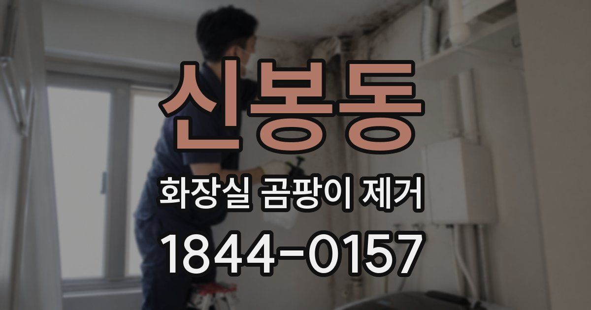 신봉동 화장실 곰팡이 제거