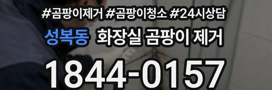 성복동 화장실 곰팡이 제거