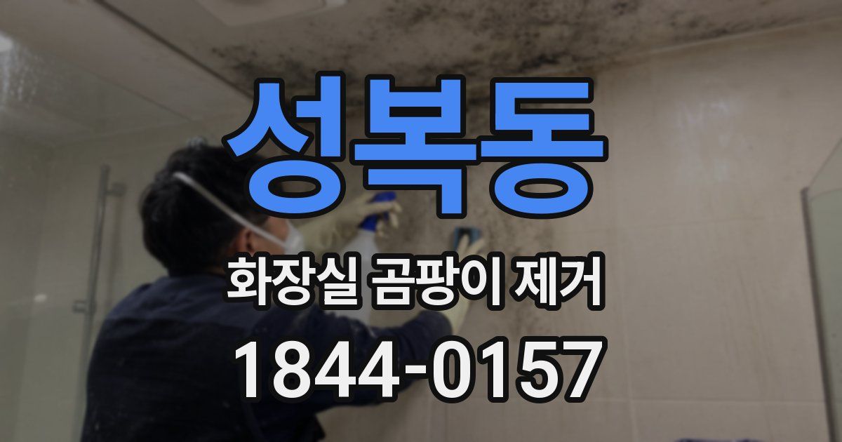 성복동 화장실 곰팡이 제거