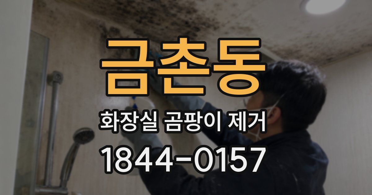 금촌동 화장실 곰팡이 제거