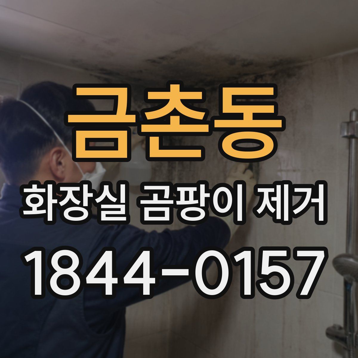 금촌동 화장실 곰팡이 제거