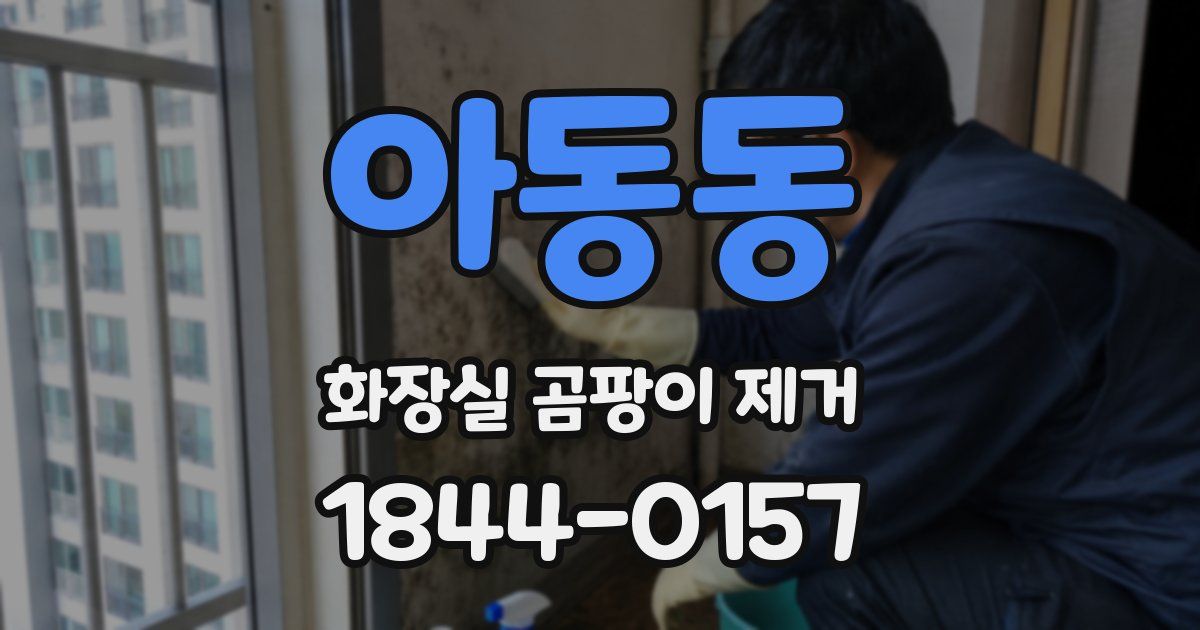 아동동 화장실 곰팡이 제거