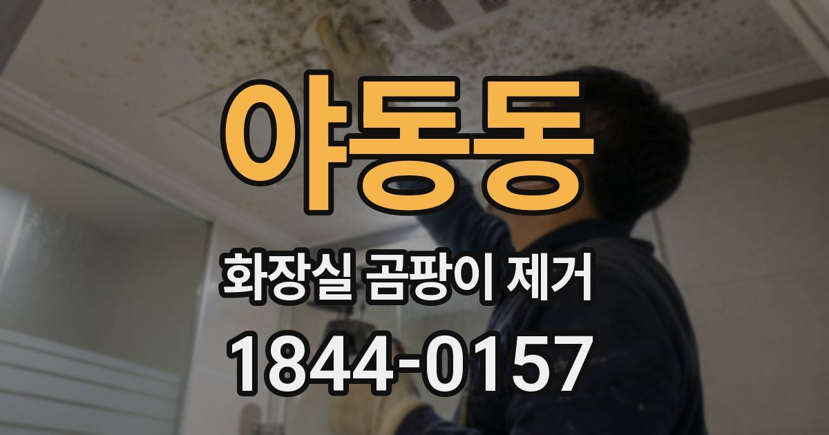 야동동 화장실 곰팡이 제거