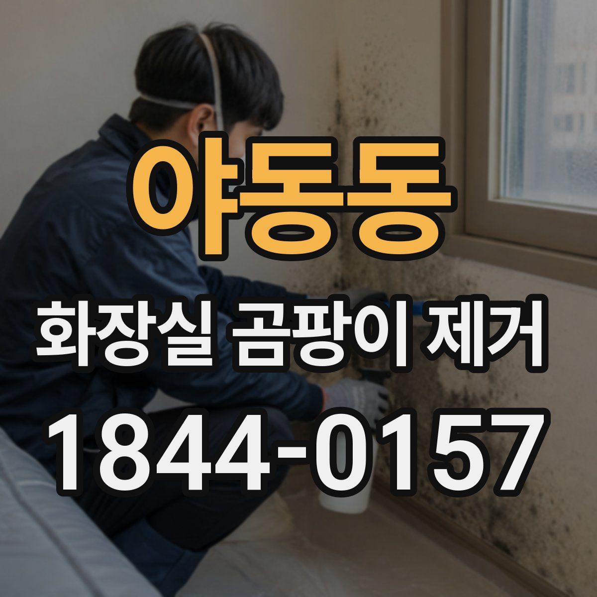 야동동 화장실 곰팡이 제거