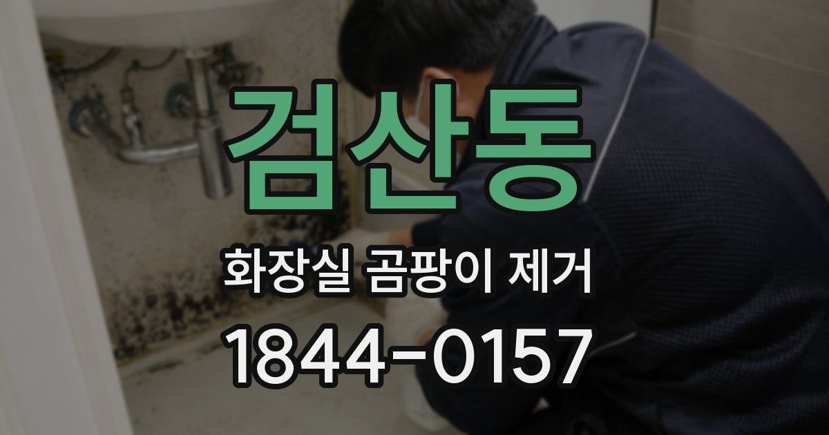 검산동 화장실 곰팡이 제거