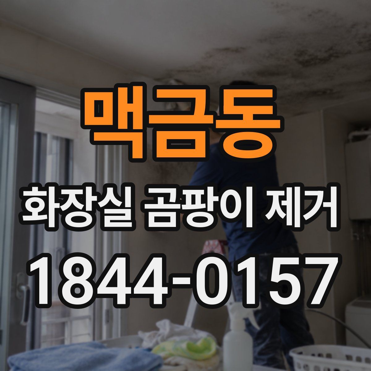 맥금동 화장실 곰팡이 제거