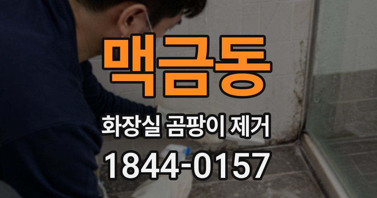 맥금동 화장실 곰팡이 제거