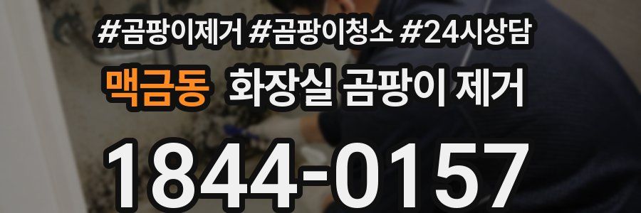 맥금동 화장실 곰팡이 제거