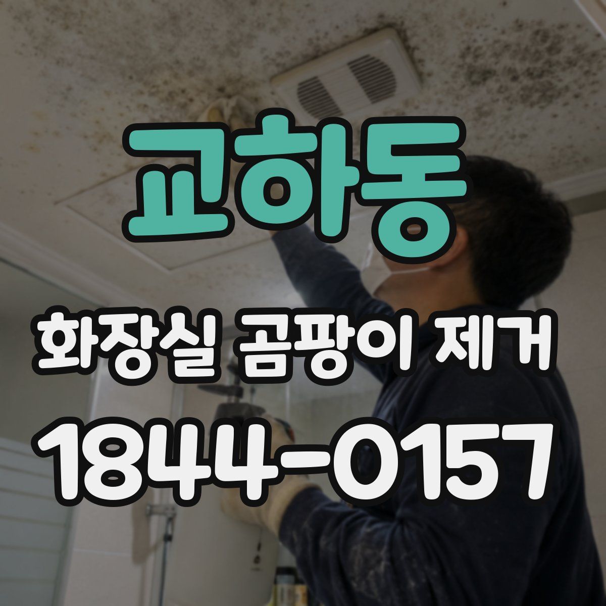 교하동 화장실 곰팡이 제거