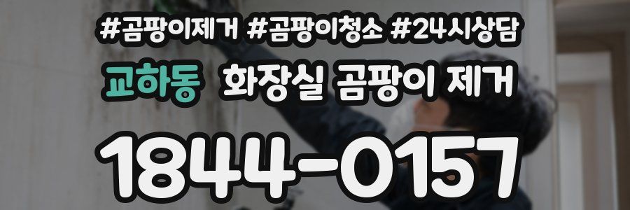 교하동 화장실 곰팡이 제거
