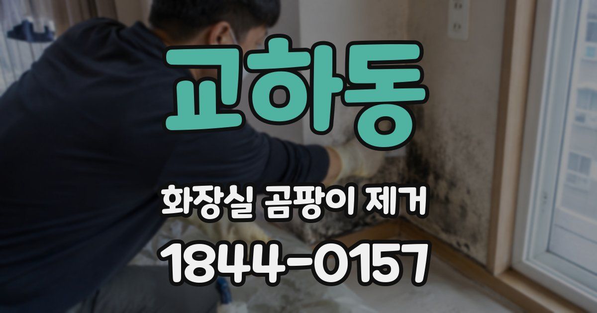 교하동 화장실 곰팡이 제거