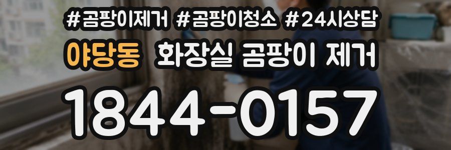 야당동 화장실 곰팡이 제거