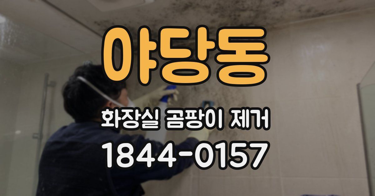 야당동 화장실 곰팡이 제거