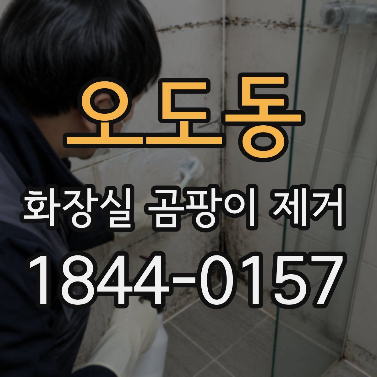 오도동 화장실 곰팡이 제거