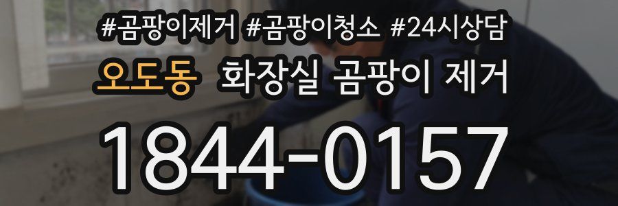 오도동 화장실 곰팡이 제거