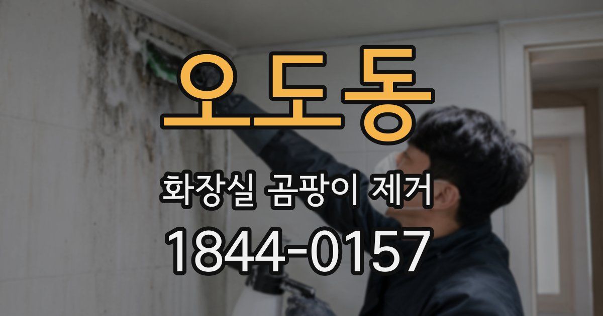 오도동 화장실 곰팡이 제거