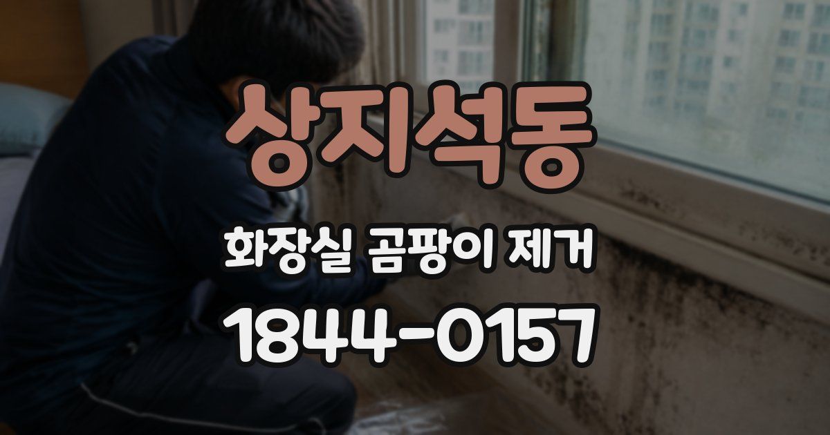 상지석동 화장실 곰팡이 제거