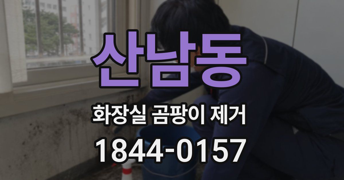 산남동 화장실 곰팡이 제거