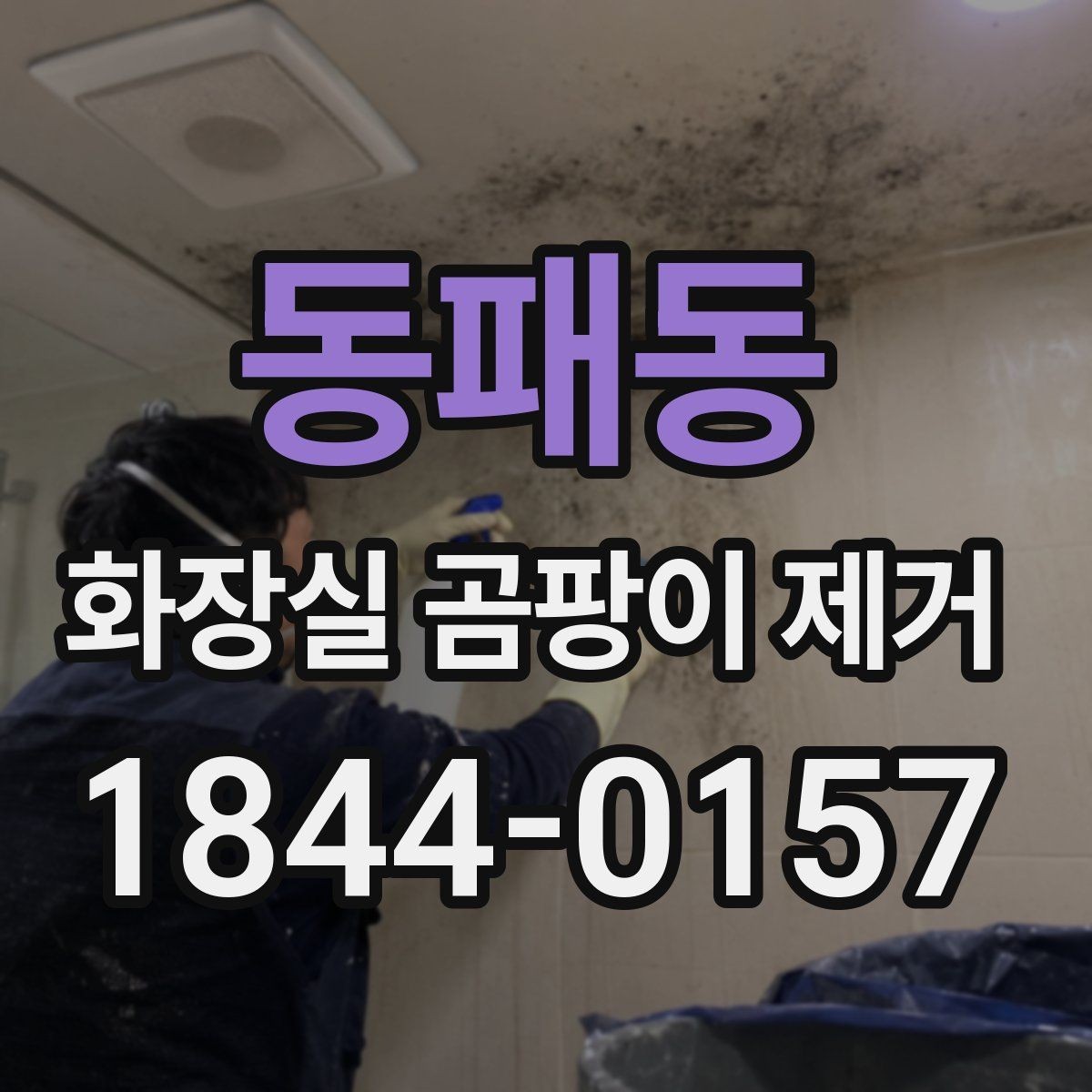 동패동 화장실 곰팡이 제거 표면 오염만인지 판단하는 간단한 기준