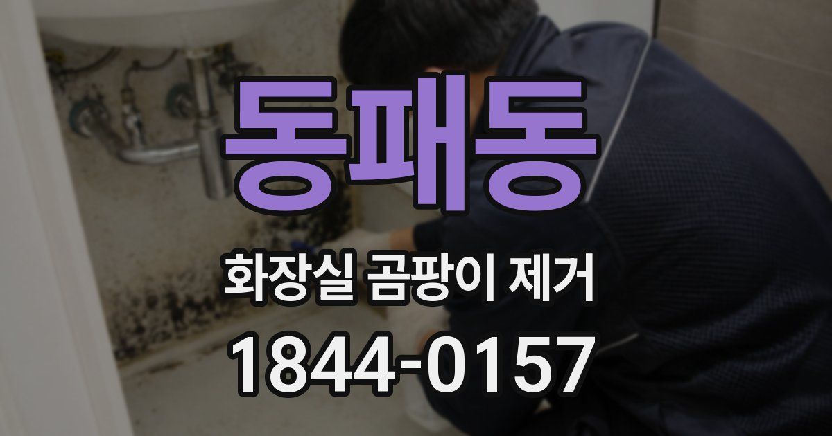 동패동 화장실 곰팡이 제거