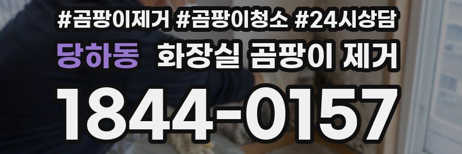 당하동 화장실 곰팡이 제거
