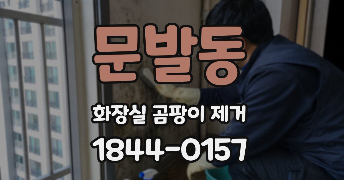 문발동 화장실 곰팡이 제거