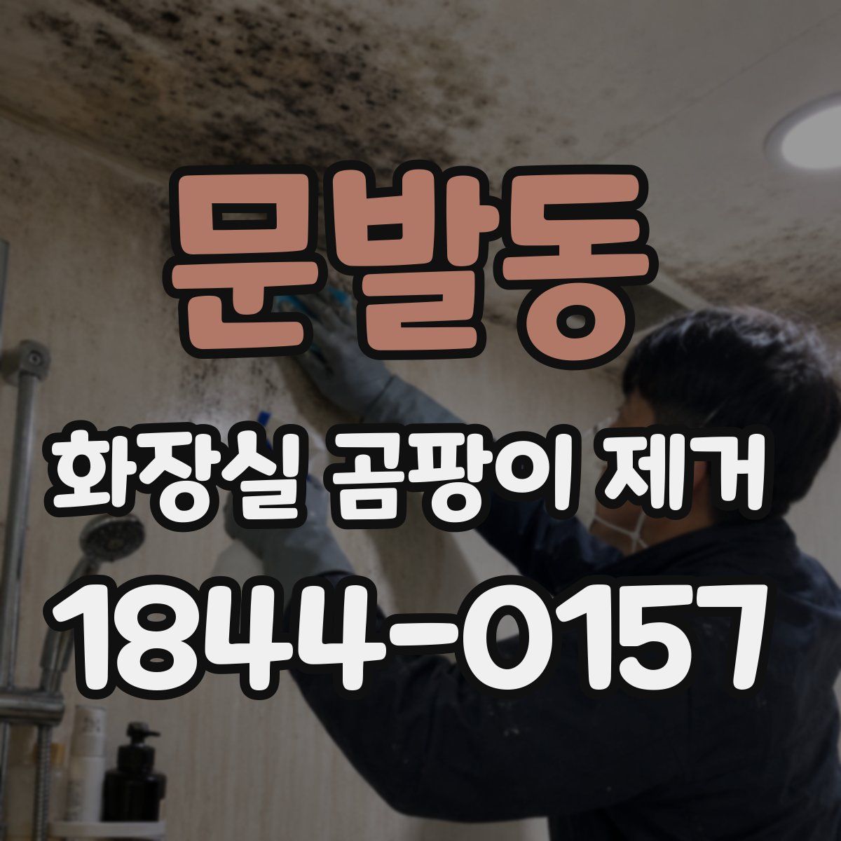 문발동 화장실 곰팡이 제거