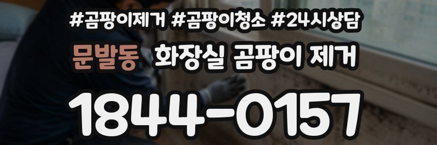문발동 화장실 곰팡이 제거