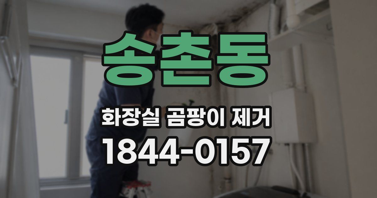 송촌동 화장실 곰팡이 제거